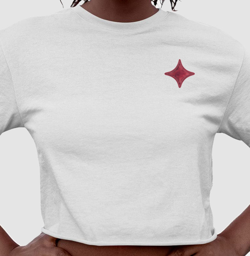 Camiseta Cropped Básica Estrela